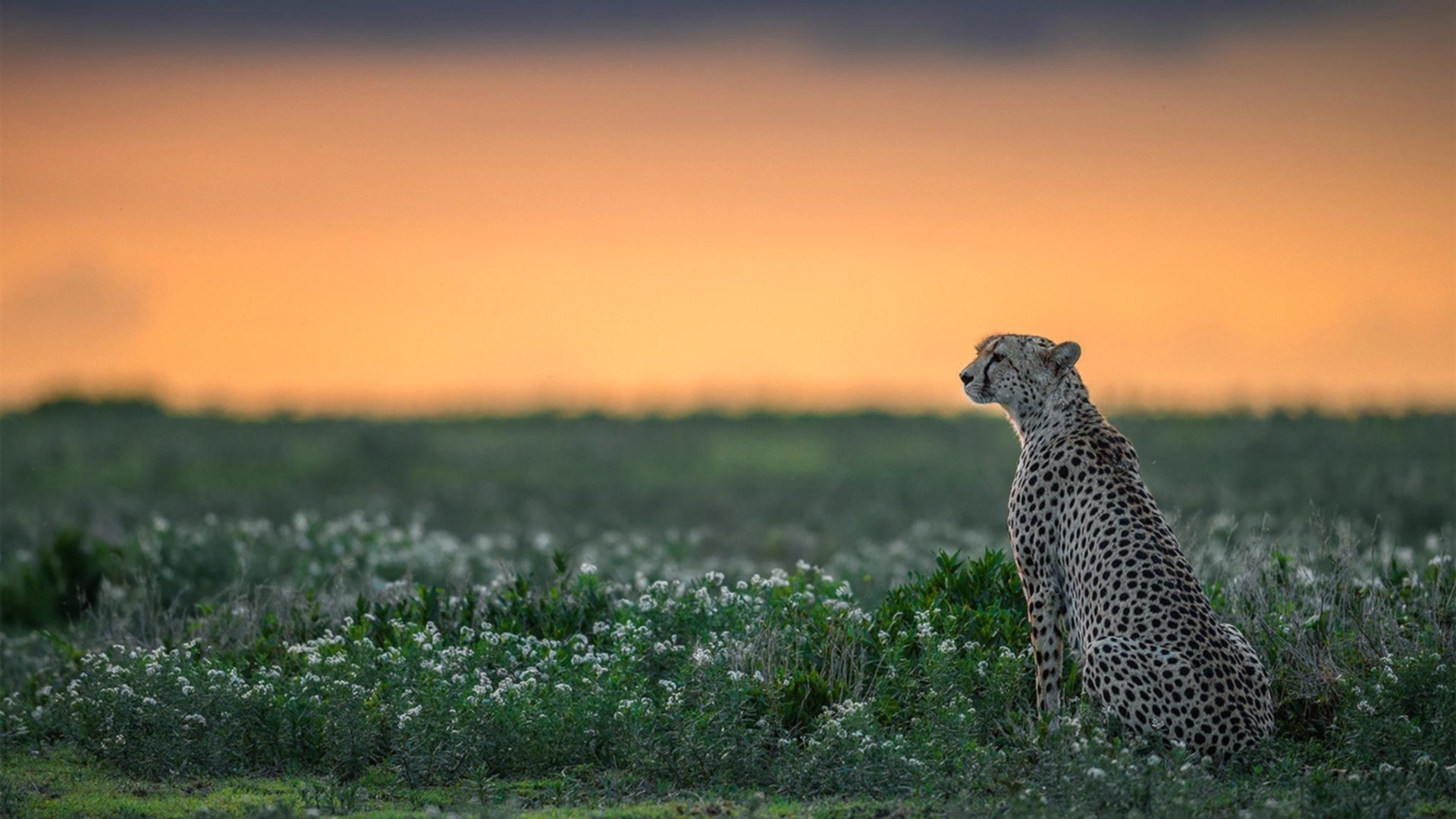 津门神塔对纽约洪流，哈登大师风范下的百年对决