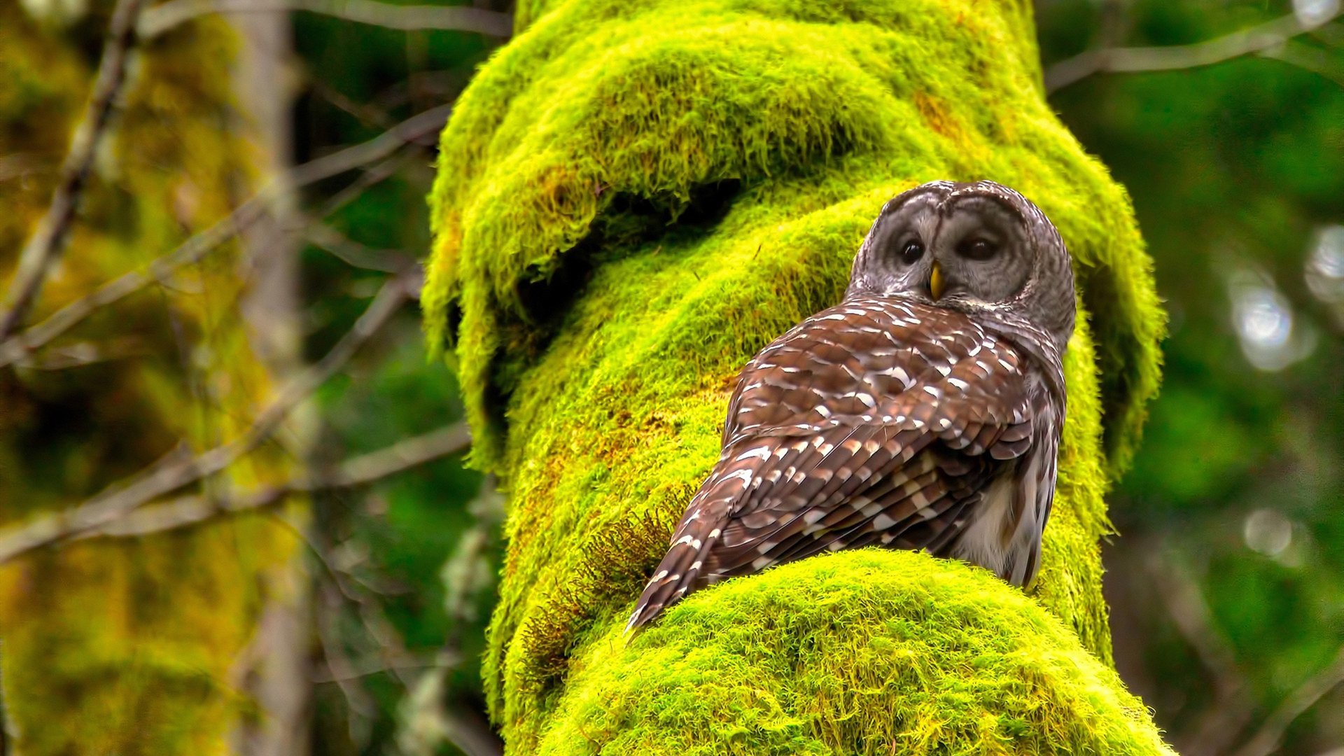 不存在的绝杀,本泽马如何穿越进英西决战