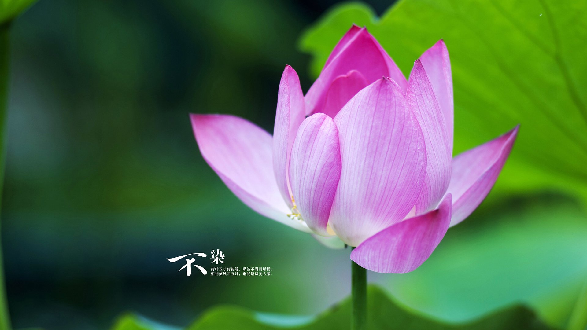 那一拍,点燃了一个时代—许昕绝杀瑞典记