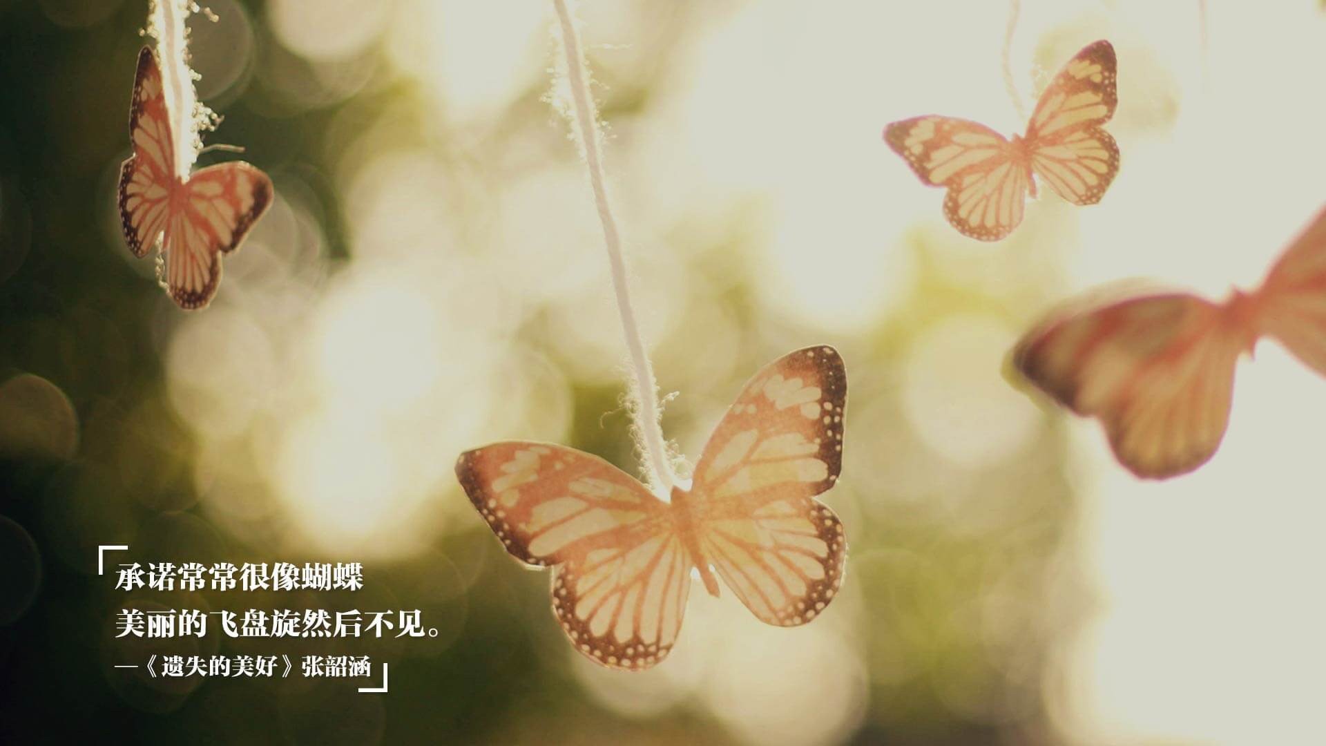 一场特殊的演唱会，球拍与歌声的交响