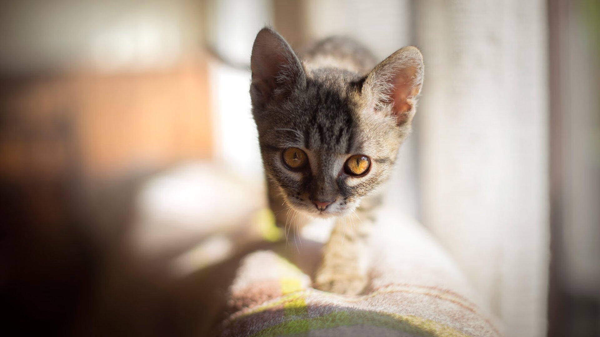 23分钟改写十年，奥地利绝境翻盘的三个奇迹时刻