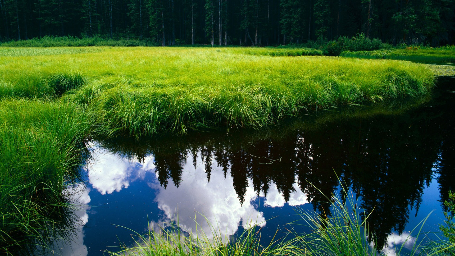 当黄色潜水艇驶向南美，孙兴慜如何让委内瑞拉人忘记对手是俱乐部