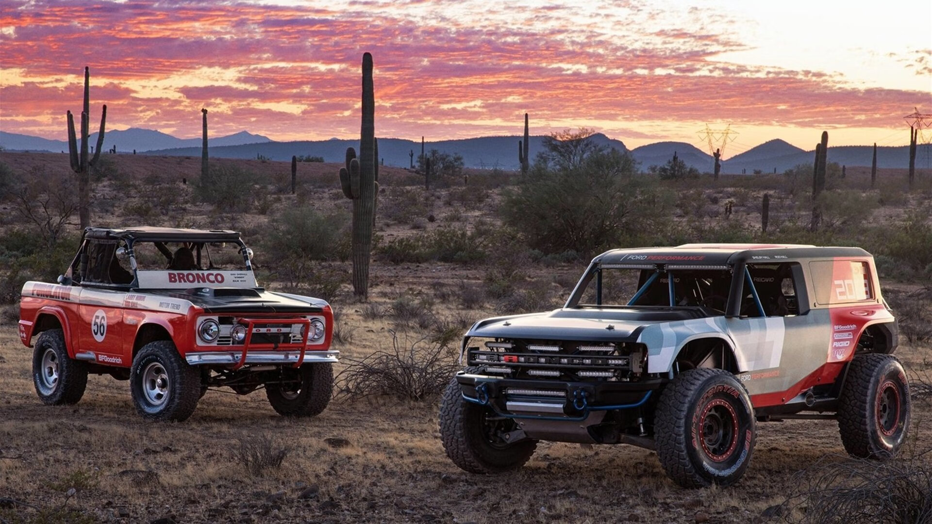 擎天一柱定乾坤,广厦字母哥导演闪电战,击碎华南虎不败金身