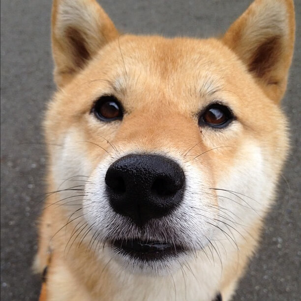 小舢板掀翻航空母舰！魔术狂胜快船背后的三板斧，布伦森持续杀伤揭示快船致命伤