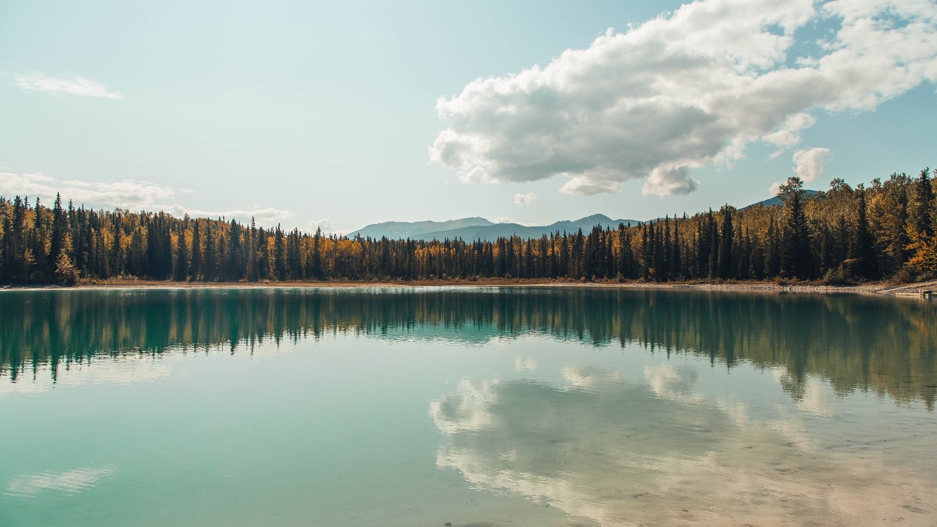 能源版季后赛焦点战，阿尔及利亚如何收割伊朗市场？
