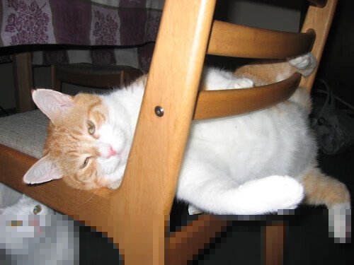 掘金金矿深挖钱江潮,西亚卡姆封喉成关键先生