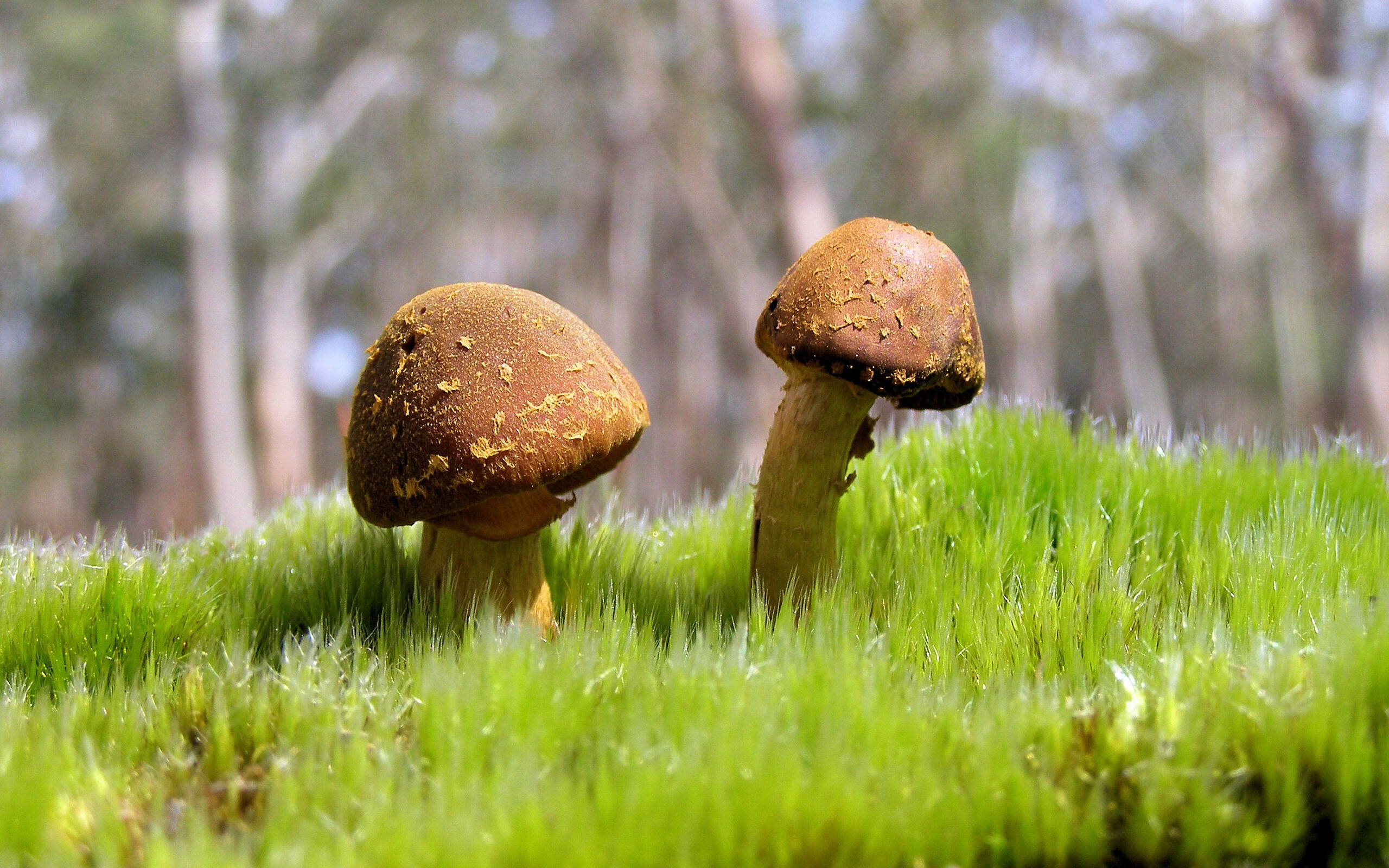 弯道,当赛车大脑与篮球思维在数据洪流中对撞