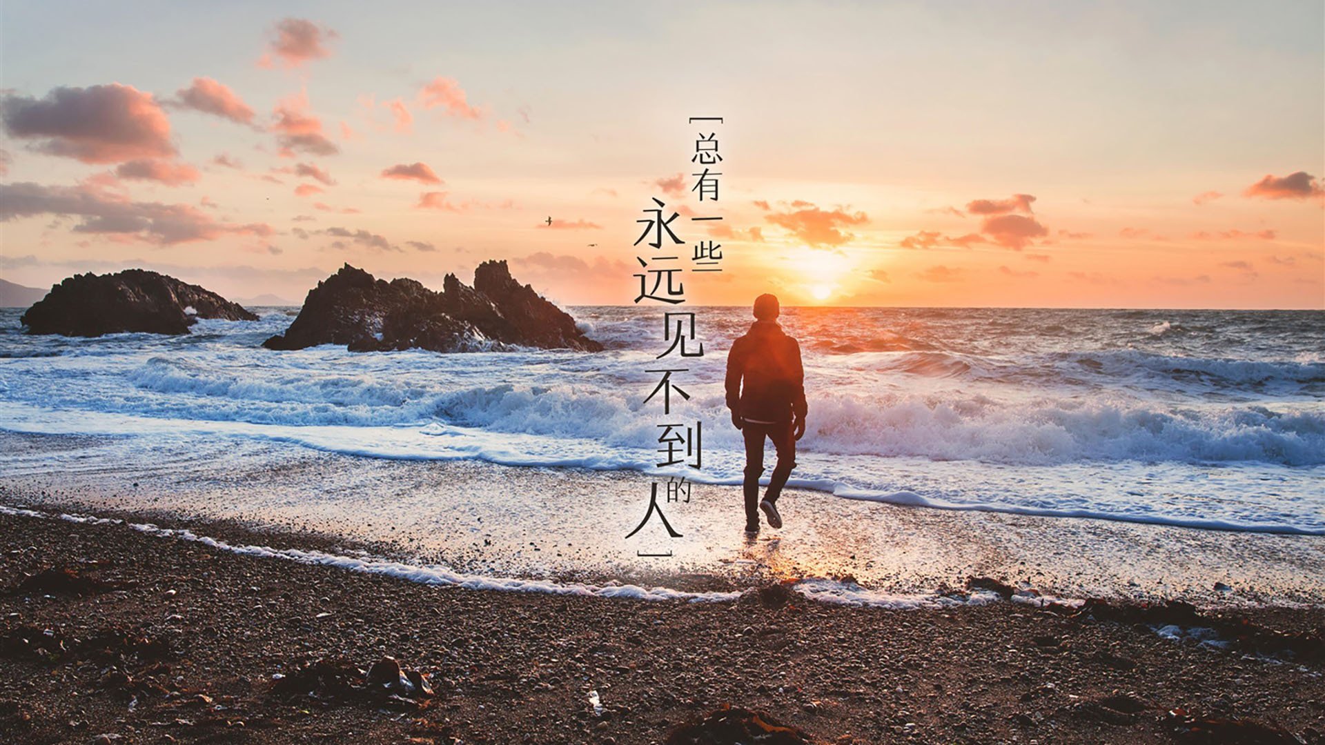 击碎预言,霍勒迪如何在篮网撕裂开拓者的夜晚,重新定义季后赛接管