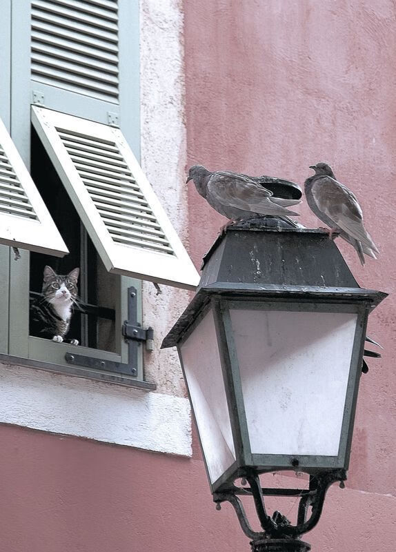 美加墨世界杯焦点战预演，利物浦全明星逆转威尔士国家队，引爆全球热议