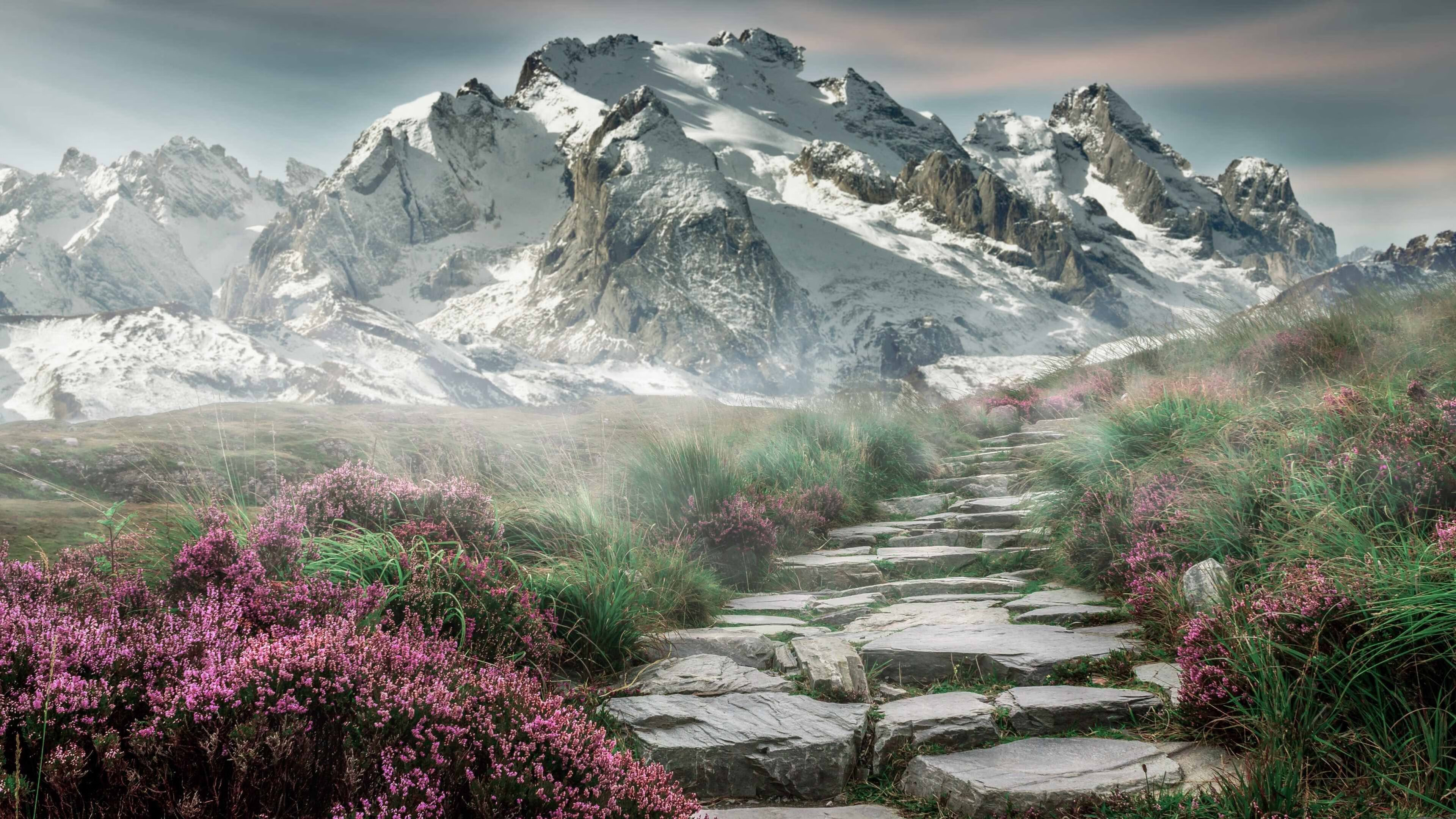 硬碰硬!全球关注的排名战,猛龙如何撕碎吉林队的钢铁防线?