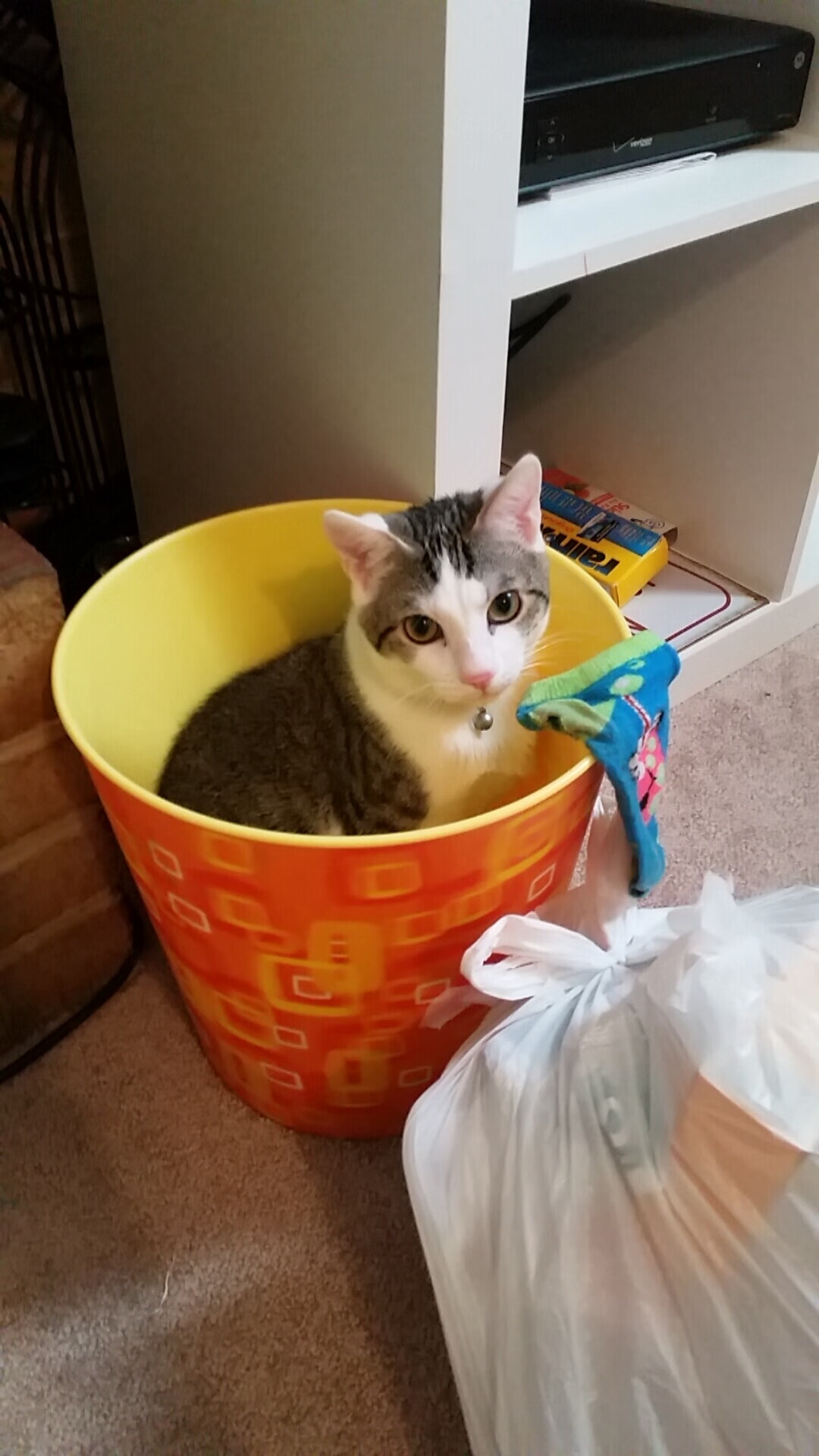 篮球世界观在球馆重塑，杰伦·格林如何成为一场不可能胜利的支点？