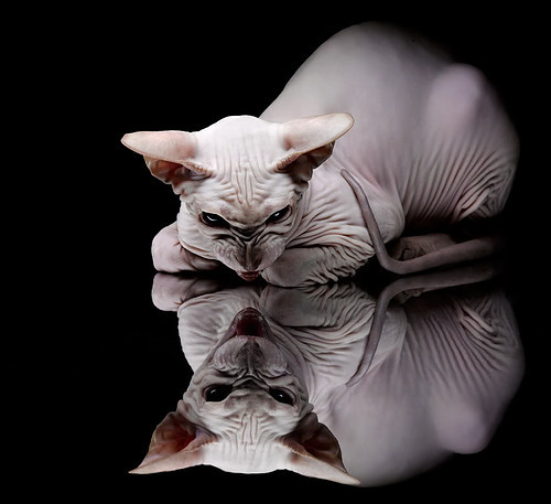 逆袭之道,奥亚尔萨瓦尔的个人爆发与丹麦的集体奇迹