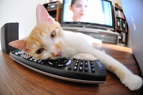 独步天下，布伦森如何用一场降维打击定义巨星唯一性