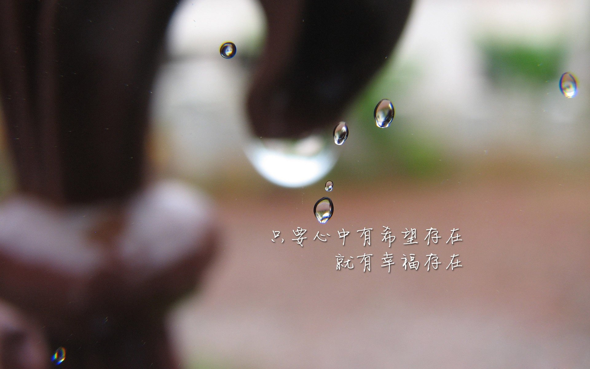 加维铁血统领,厄瓜多尔高原风暴席卷波斯铁骑—2026世界杯B组焦点战全景纪实