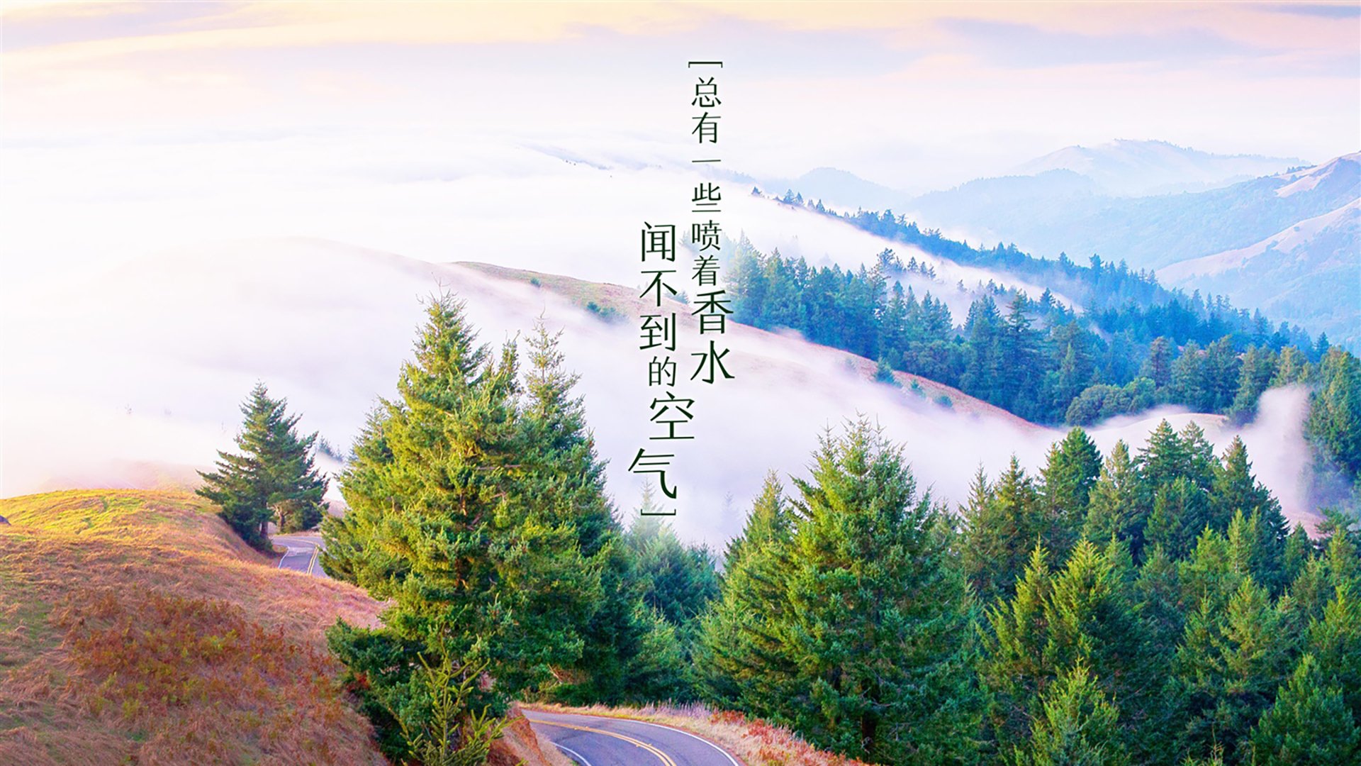 独行者卢卡库，2026世界杯揭幕战，改写墨西哥与塞尔维亚宿命的唯一剧本